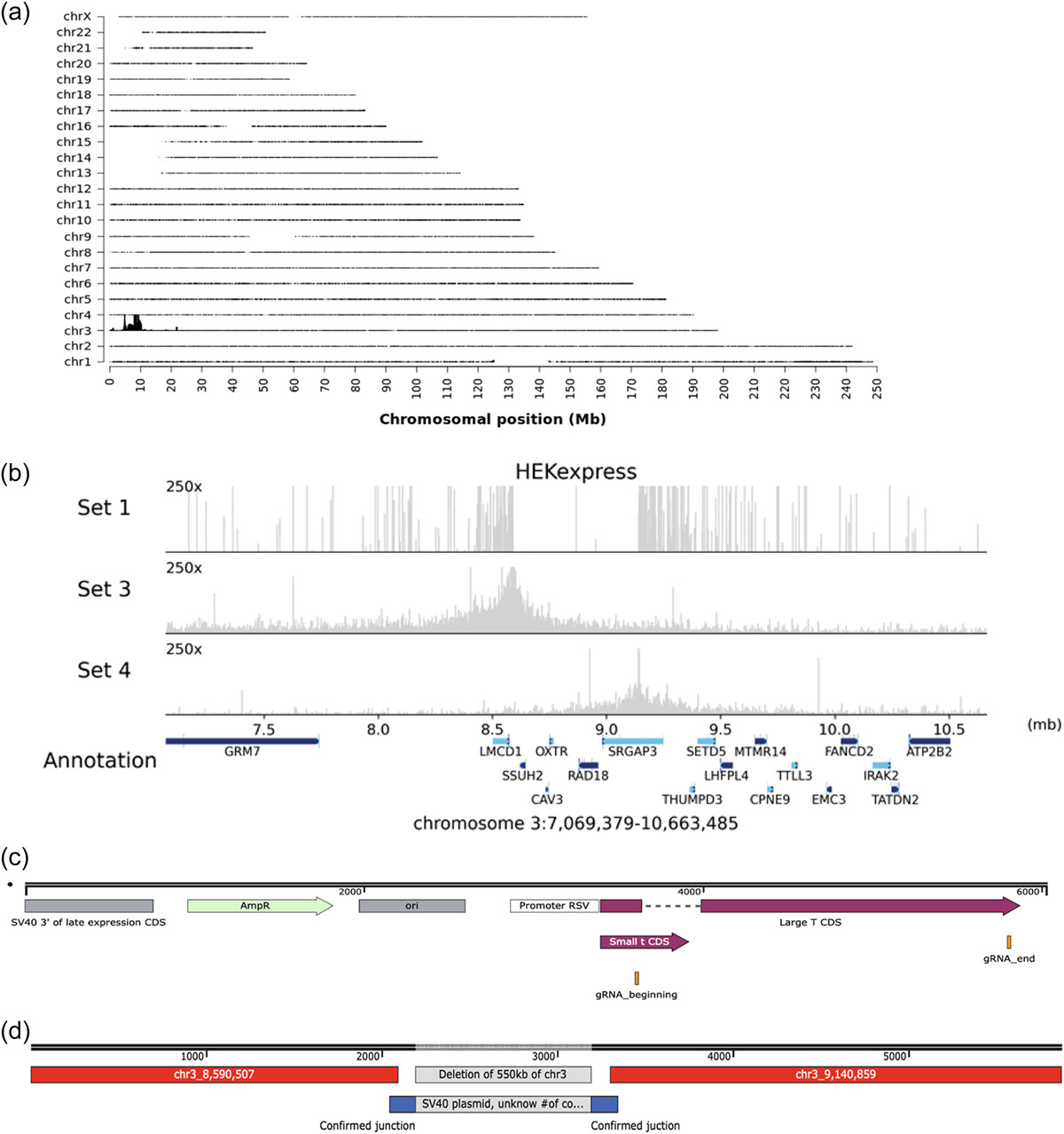 bit28414-fig-0001-m