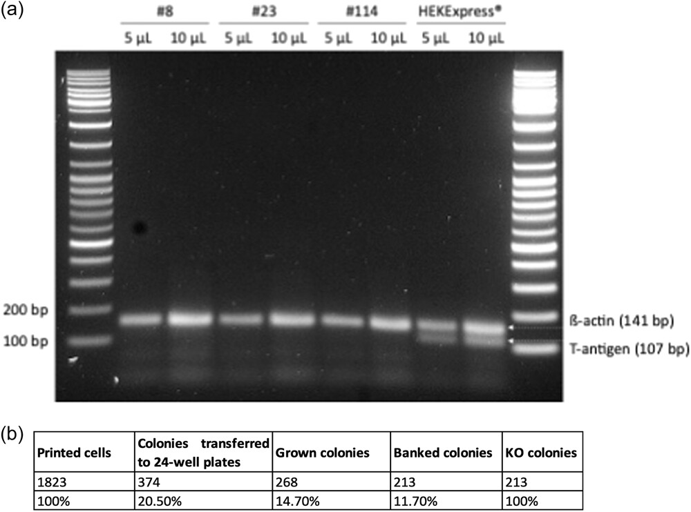 bit28414-fig-0003-m